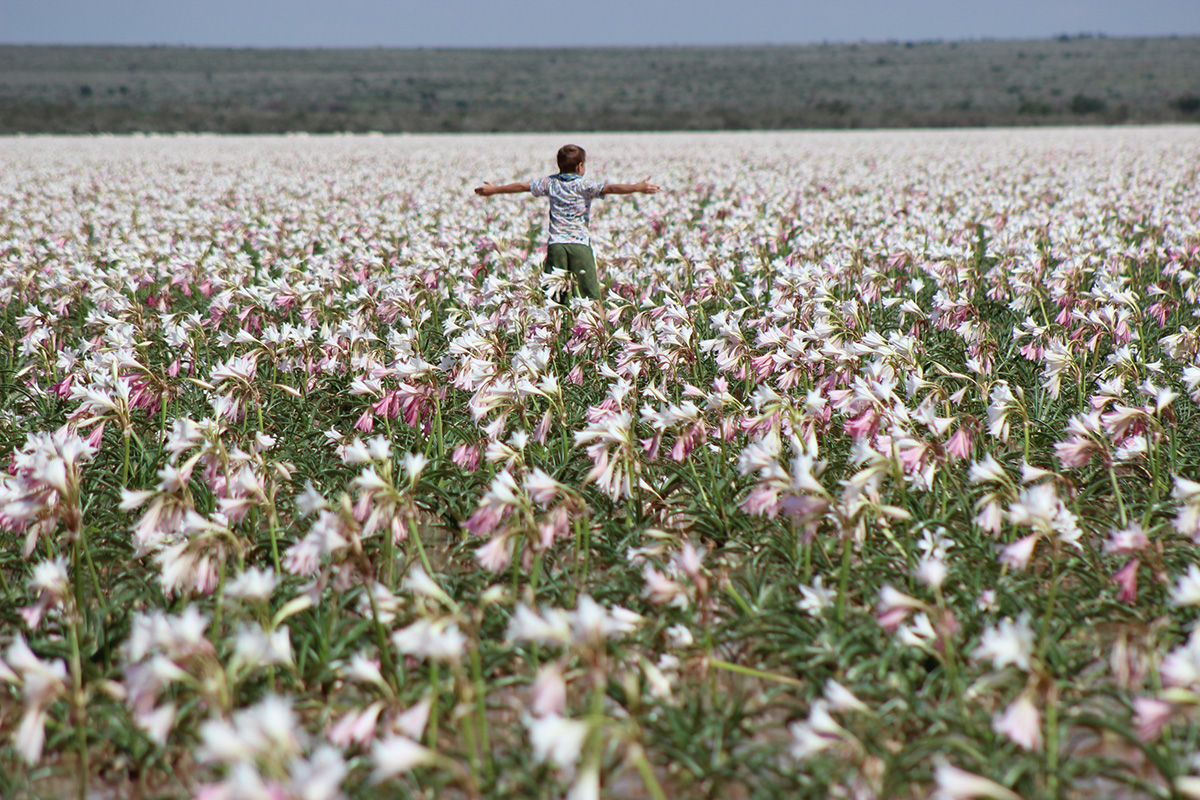Magnificent Namibia In The Rainy Season