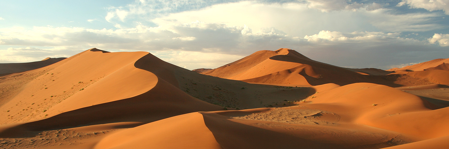 Namib Dunes Safari in Namibia