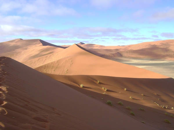 The dunes of the Namib