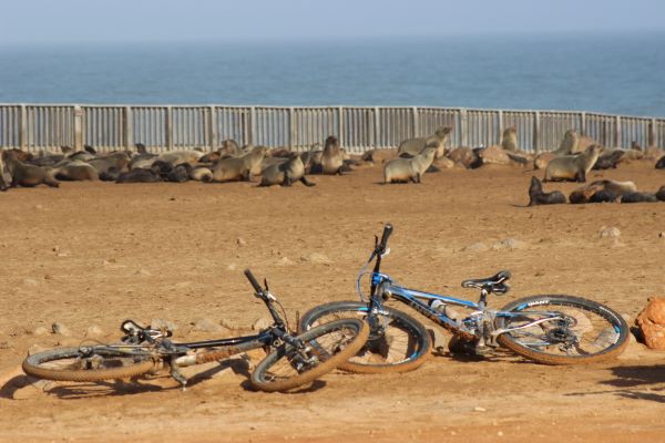Cycling towards Cape Cross
