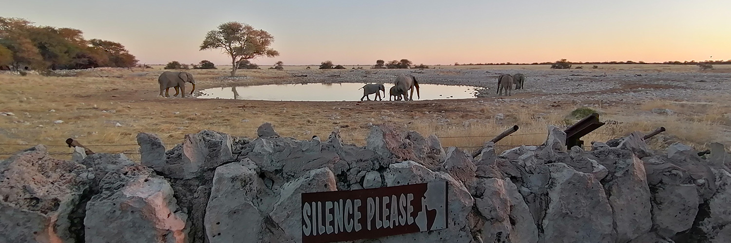 Local Etosha Safari in Namibia